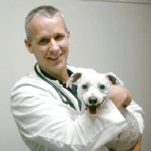 Ron Zylstra - Veterinarian - Kentwood Veterinary Clinic PLLC | LinkedIn