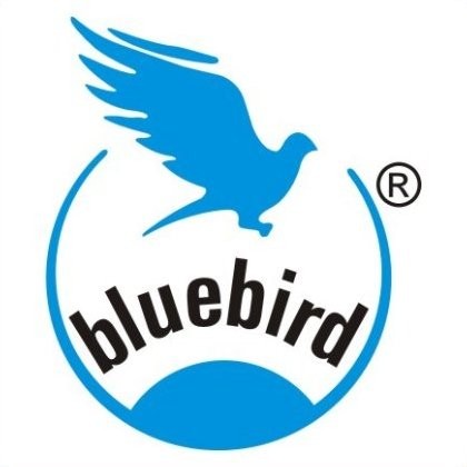 Aditya Mittal - Director - Bluebird Pure Pvt. Ltd.