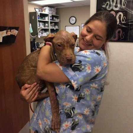 Kristen Cafarella - Clinic Services Team Leader - Oradell Animal Hospital |  LinkedIn