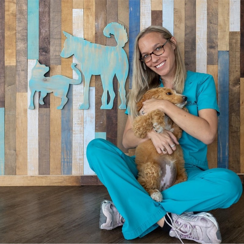 Brooke Certa - Veterinary Practice Owner - Animal Hospital of Tampa |  LinkedIn