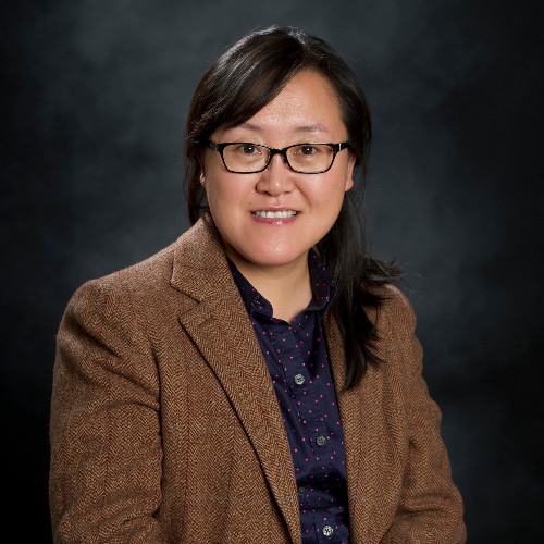 Haiyan Zhao - Associate Professor - University Of Idaho | Linkedin