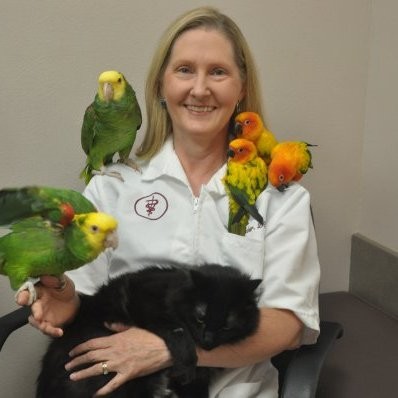 Janet Fisher - Veterinarian , Associate - ABC Animal & Bird Clinic |  LinkedIn