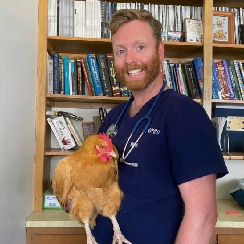Ruairi White, DVM, MPH - Associate Veterinarian - Glastonbury Animal  Hospital | LinkedIn