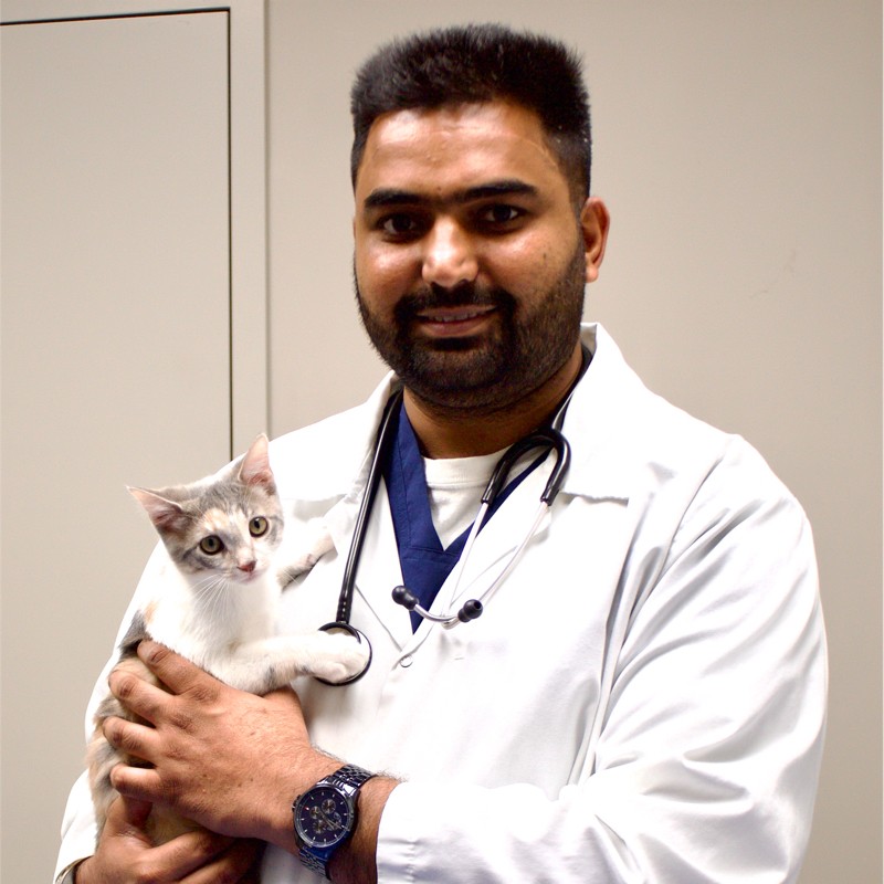 Amandeep Singh Brar - Associate Veterinarian - East Mountain Animal Hospital  | LinkedIn