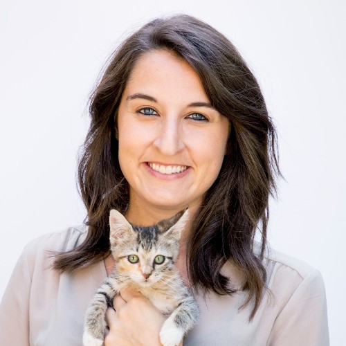 Heather Thomas - MIPP Program Manager - Michelson Found Animals Foundation,  Inc. | LinkedIn