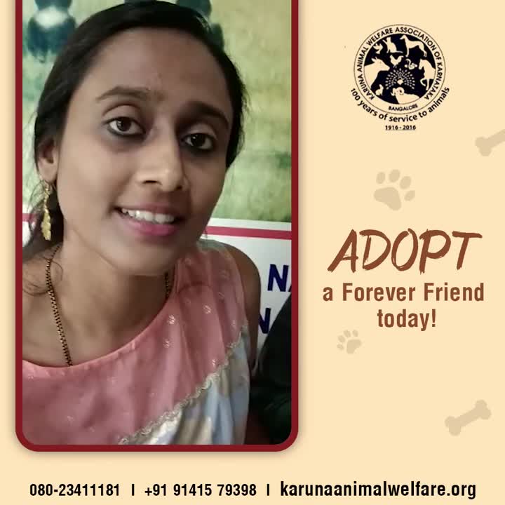 Karuna Bengaluru on LinkedIn: #karunaanimalwelfareassociation  #rescueanimals #dog #petanimals #quote…