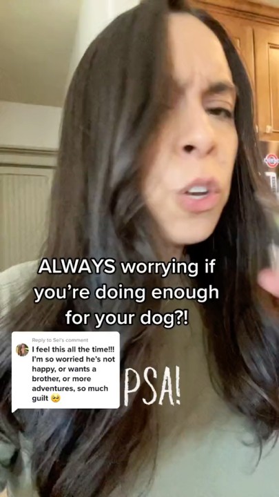 Rachel Fusaro on LinkedIn: Dog moms have the most guilt 🫣
