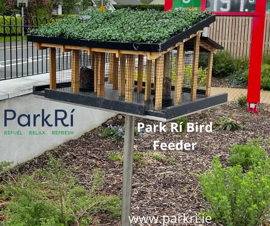 Park Ri Kells on LinkedIn: Bees are very welcome at Park Rí Park Ri Kells on LinkedIn: Bees are very welcome at Park Rí