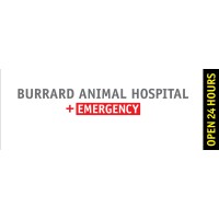 Burrard Animal Hospital | LinkedIn