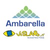 VisLab (an Ambarella Inc. company)