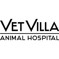 Vet Villa Animal Hospital | LinkedIn