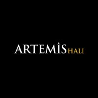 Artemis Hali Linkedin