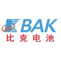 Rug bue vedvarende ressource Shenzhen BAK Power Battery Co., Ltd. | LinkedIn