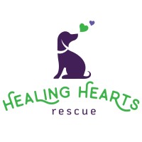 Healing Hearts Rescue | LinkedIn