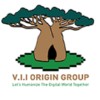 Logo de GROUP V.I.I ORIGIN