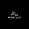 jobs in Black Diamond Management Inc.