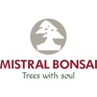 Arriesgado Cría bordillo MISTRAL BONSAI SL | LinkedIn