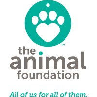 The Animal Foundation | LinkedIn