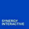 Synergy Interactive