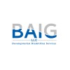 BAIG LLC