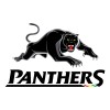 Penrith Panthers Graphic