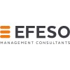 EFESO Management Consultants