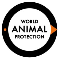 World Animal Protection Australia | LinkedIn