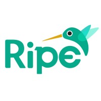 Ripe Media - Top Mobile App Development Companies in Los Angeles