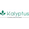 Kalyptus, It & Digital Executive Search