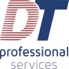 DT Professional Services