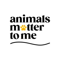Animals Matter To Me | LinkedIn