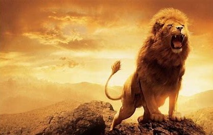 Lion the King of the Jungle - The Spirit of Leadership