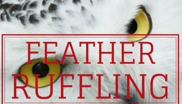 Ruffling Feathers