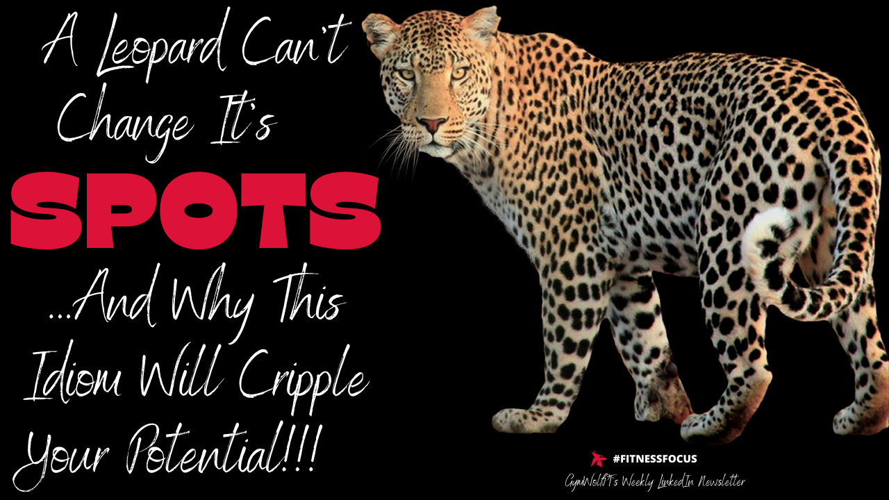 "A Leopard Can't Change It's Spots"​ - And How Believing Idiom Will Cripple Your Potential!