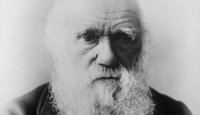 Law Firm Evolution: Darwinian chance or Lamarckian choice?