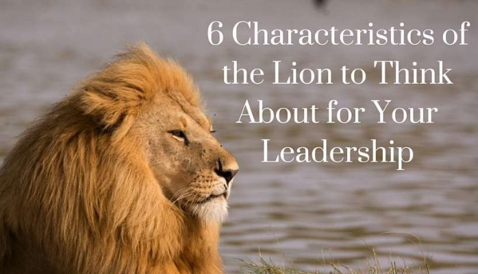 6 Characteristics of the Lion to Think About for Your Leadership