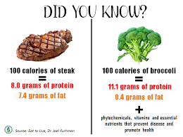why plant protein is a winner if compared to animal protein?