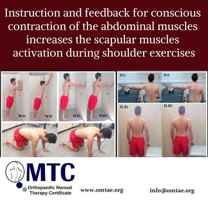 🗣Instruction and feedback for conscious contraction of the abdominal  muscles increases the scapular muscles activation