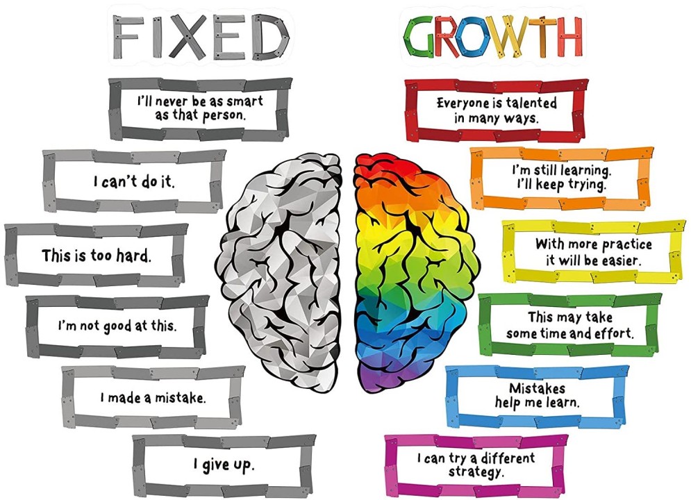 Accept the Growth Mindset and You'll Be Amazed at What you Accomplish
