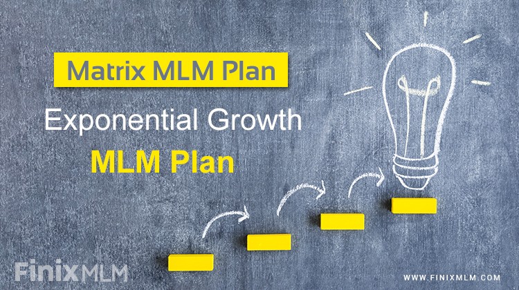 Everything you need to know about Matrix MLM plan