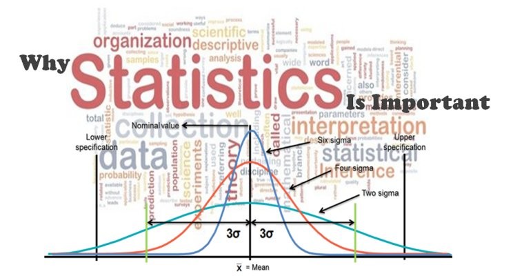 Why Are Statistics Important