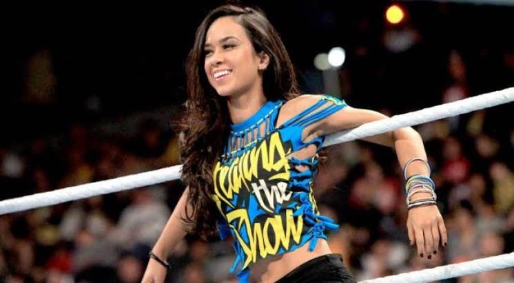 AJ Lee's Net Worth, Age, Height, Weight, Husband, Children, and Biography