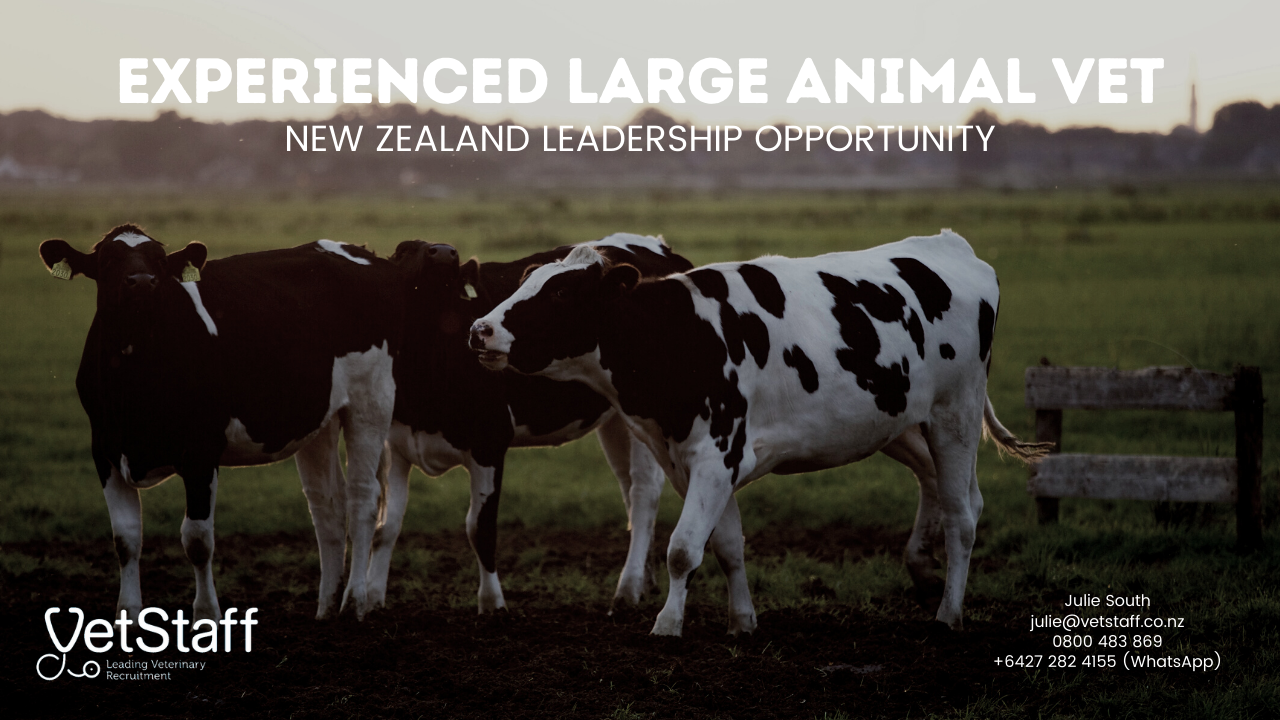Experienced Large Animal Vet Looking for Leadership Opportunities Wanted