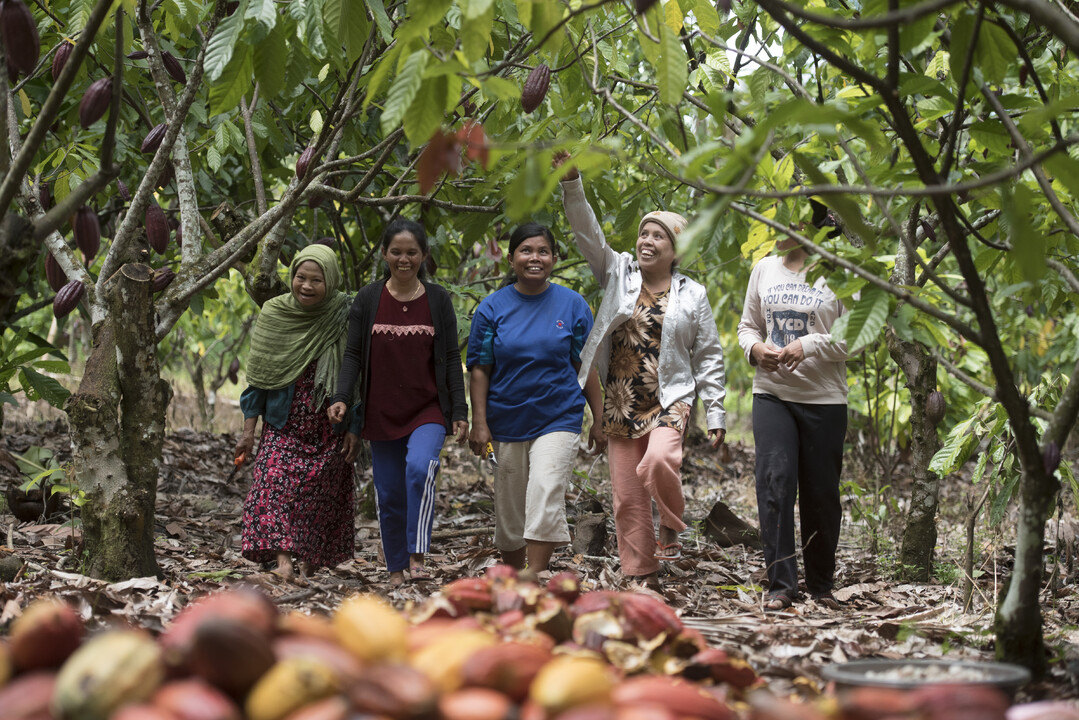 What is Musrenbang? Cocoa Life Indonesia and the best community development approach you’ve never heard of