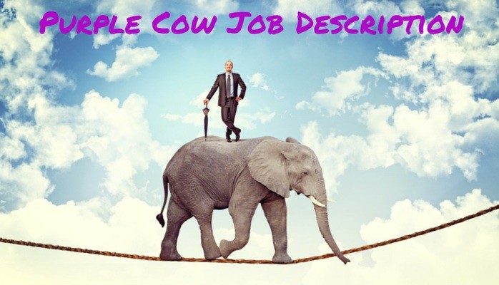 The Purple Cow Job Description – Should I Apply?