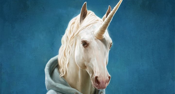 Unicorns don't exist, so stop waiting for one