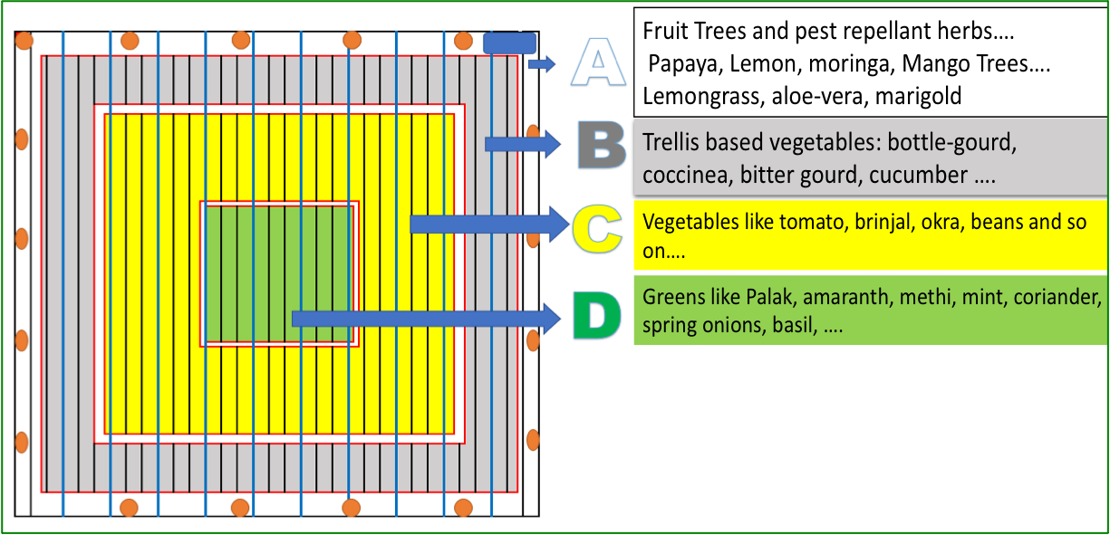 Food Forest Model