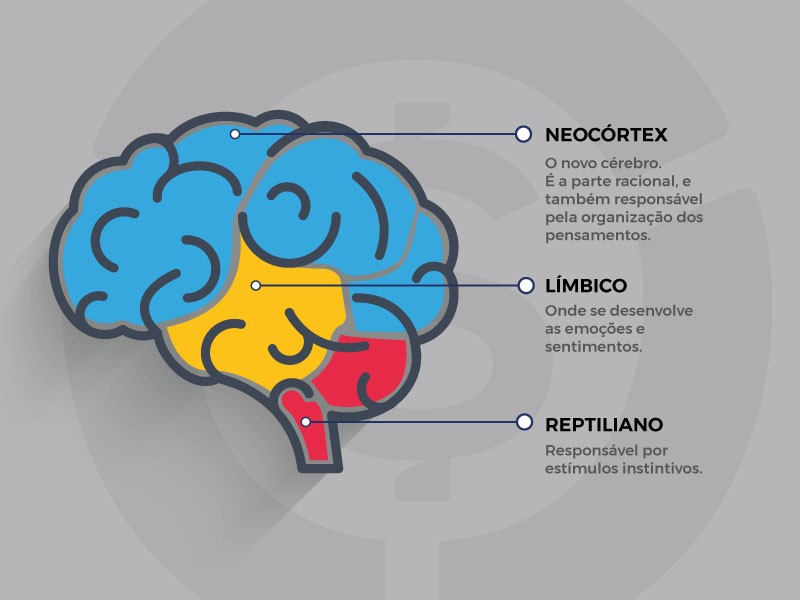 Неокортекс. Cerebro система управления проектами. Рептильный мозг и маркетинг. Неокортекс это простыми словами