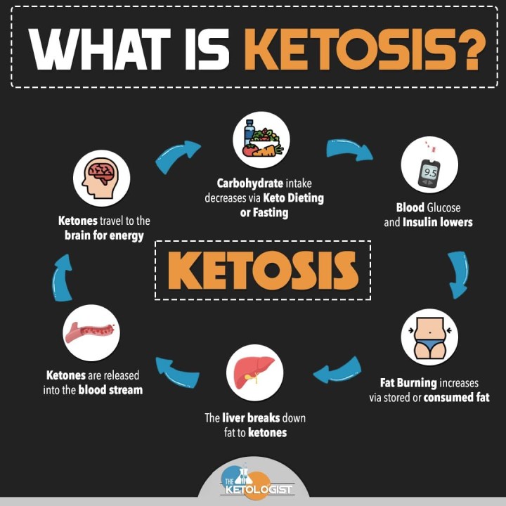 What is Ketosis. Is it Healthy & How Can I use it to Get Rid of Unwanted Body Fat?
