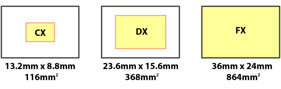 Comparison of sensor size across Nikon's three systems. The larger the sensor, the better picture it produces. Source: btobey.com